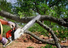 Best Seasonal Cleanup (Spring/Fall)  in Nisswa, MN